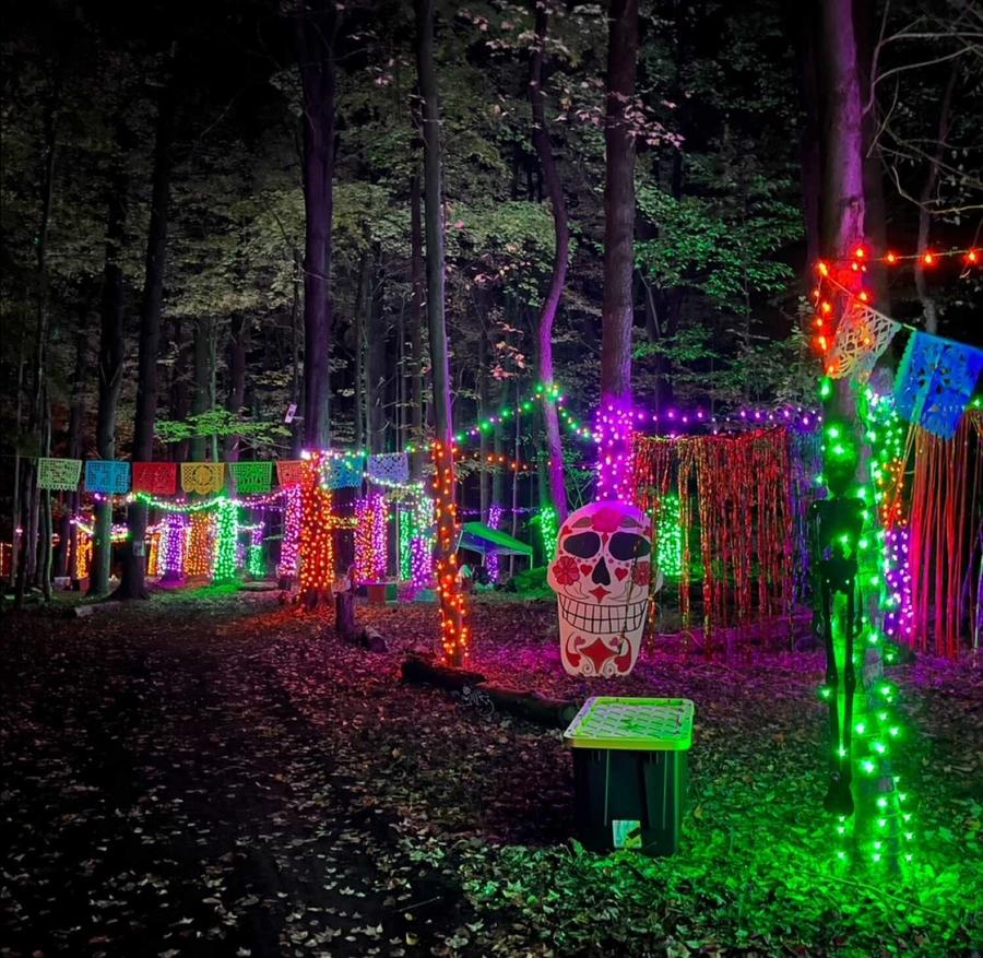 Spooktacular lights.jpg
