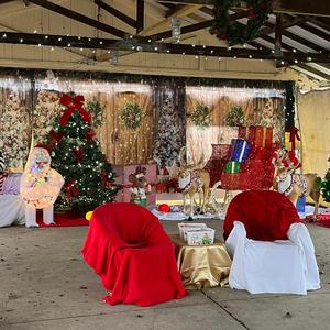 Christmas in the Park2.jpg