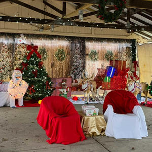 Christmas in the Park5.jpg