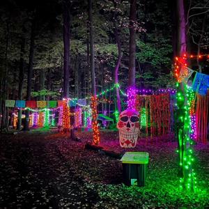 Spooktacular lights.jpg